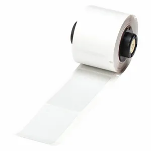 BRADY PTL-26-428 Precut Label Roll, 2 3/4 x 1 1/4 Inch Size, Polyester, Gray, 100 Labels Per Roll | CU6URB 3PYN4