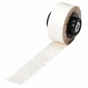 BRADY PTL-71-430 Precut Label Roll, 13/64 x 11/32 Inch Size, Autoclavable Polyester, Clear, 750 Labels | CP2KDH 42X462