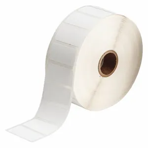 BRADY THT-136-7425-2-SC Precut Label Roll, Rectangle, 3/4 x 1 1/2 Inch Size, Cryogenic Autoclavable Polypropylene | CR8QFL 56KG64