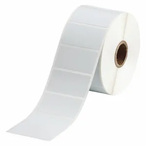 BRADY THT-156-492-1.5-SC Precut Label Roll, Rectangle, 1 x 1 7/8 Inch Size, Cryogenic Polyester, White | CR8PKC 56KF99