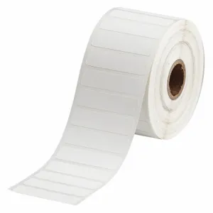 BRADY THT-53-7425-2-SC Precut Label Roll, 1/2 x 2 Inch Size, Cryogenic Autoclavable Polypropylene, White | CP2JYH 56KG48