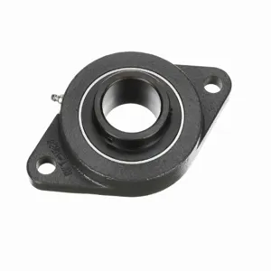 BROWNING 765806 Two Bolt Flange Ball Bearing, Mounted, Cast Iron, Black Oxided Inner, Setscrew Lock | BF2JCZ VF2S-228 AH