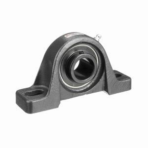 BROWNING 767848 Two Bolt Pillow Block Ball Bearing, Mounted, Cast Iron, Black Oxided Inner, Setscrew Lock | BE2GHW VPS-218