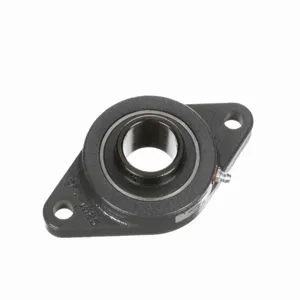 BROWNING 767849 Two Bolt Flange Ball Bearing, Mounted, Cast Iron, Black Oxided Inner, Setscrew Lock | BE2BFN VF2S-220S