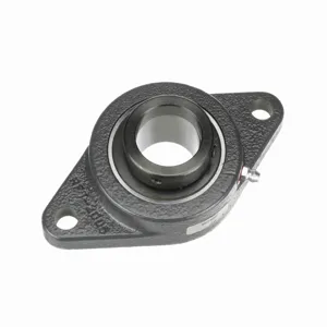 BROWNING 767851 Two Bolt Flange Ball Bearing, Mounted, Cast Iron, Black Oxided Inner, Eccentric Lock | BE3XRG VF2E-220S