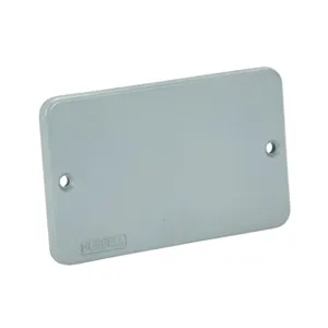 BRYANT BRY3054 Cover Plate, Ul Type 3R, Gray | CV6PBG