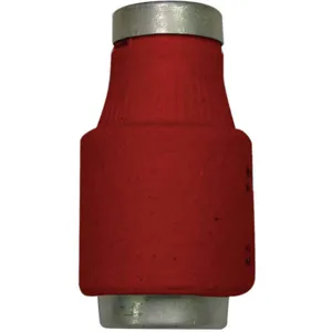 BUSSMANN 10D16 Fuse D 10a 500vac Ceramic | AA6PMR 14L628