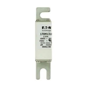 BUSSMANN 170M1318 Specialty Fuse, High Speed, Fast Blow, 690VAC, 125A, Square Body Blade Fuse | BD4LAN