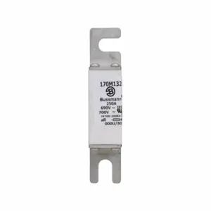 BUSSMANN 170M2619 Specialty Fuse, 315A, 690VAC | BD3DBV