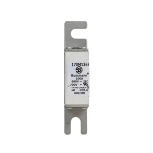 BUSSMANN 170M1367 Specialty Fuse, 100A, 690VAC | BD3GJP