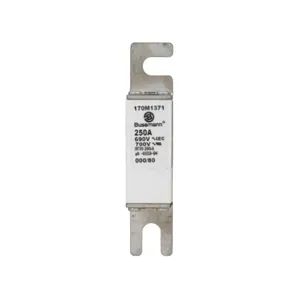 BUSSMANN 170M1371 Specialty Fuse, 250A, 690VAC | BD4DHG