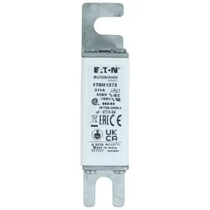 BUSSMANN 170M1372 Specialty Fuse, High Speed, Fast Blow, 690VAC, 315A, Square Body Blade Fuse | BD4EFC