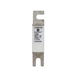 BUSSMANN 170M1418 Semiconductor Fuse, 125A, 690VAC | BC9FAP