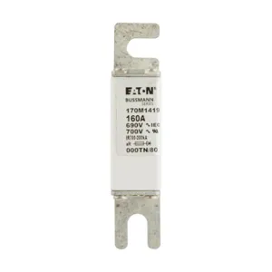 BUSSMANN 170M1419 Specialty Fuse, High Speed, 690VAC, 160A, Square Body Blade Fuse | BD2VAF