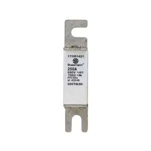 BUSSMANN 170M1421 Specialty Fuse, 250A, 690VAC | BD3DBR