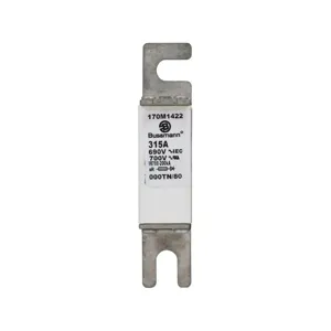 BUSSMANN 170M1422 Specialty Fuse, 315A, 690VAC | BD2VAG