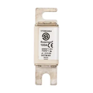 BUSSMANN 170M2664 Specialty Fuse, 100A, 690VAC | BD3DBW