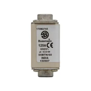 BUSSMANN 170M2765 Specialty Fuse, 125A, 690VAC | BD2MWY