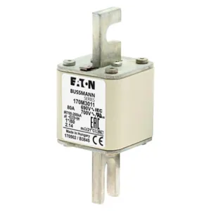 BUSSMANN 170M3011 Specialty Fuse, 80A, 690VAC | BD3KZP