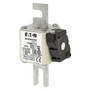 BUSSMANN 170M3113 Specialty Fuse, High Speed, 690VAC, 125A, Square Body Blade Fuse | BD3CLQ