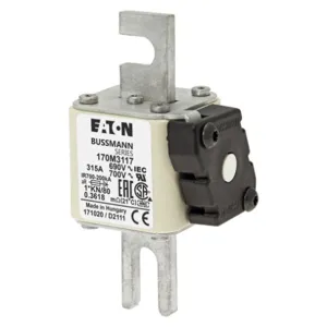 BUSSMANN 170M3117 Specialty Fuse, 315A, 690VAC | BD2YJR