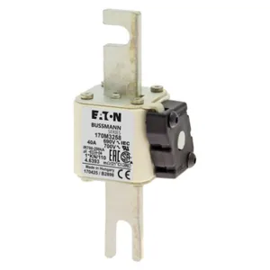 BUSSMANN 170M3258 Semiconductor Fuse, 40A, 690VAC | BD2TCQ