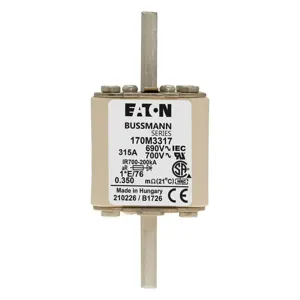 BUSSMANN 170M3317 Specialty Fuse, 315A, 690VAC | BD3MHU