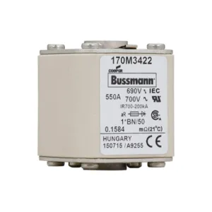 BUSSMANN 170M3422 Specialty Fuse, 550A, 690VAC | BD2WVV