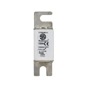 BUSSMANN 170M4811 Specialty Fuse, 125A, 690VAC | BD3KJZ