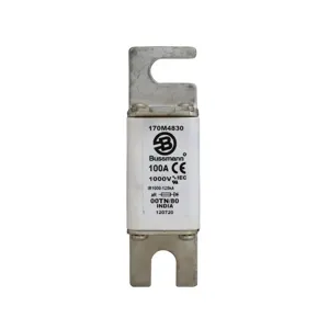 BUSSMANN 170M4830 Semiconductor Fuse, 100A, 690VAC | BD2QEF