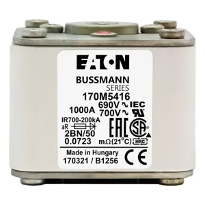 BUSSMANN 170M5438 Specialty Fuse, 250A, 690VAC | BC8XNL