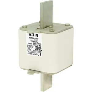 BUSSMANN 170M6889 Specialty Fuse, High Speed, 690VAC, 3.5kA, Square Body Blade Fuse | BD2LVQ