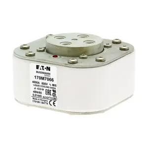 BUSSMANN 170M7066 Semiconductor Fuse, 4kA, 690VAC | BD3LBF