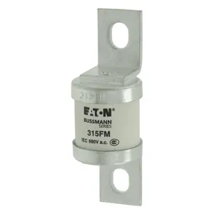 BUSSMANN 315FM Specialty Fuse, High Speed Semiconductor, Fast Blow, 500VAC, 315A | BC9NWY