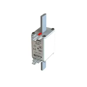 BUSSMANN 63NHG02B Square Body Blade Fuse, High Rupture, 500VAC, 63A | BD4RAB