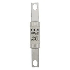 BUSSMANN AD25 Specialty Fuse, 25A | BD3YMB