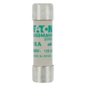 BUSSMANN C10M16 Midget Fuse, Slow Blow, 16A, 500VAC, 10 Pack | BD2PNN