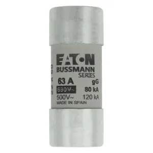 BUSSMANN C22G63 Specialty Fuse, 63A, 690VAC | BD2UPH