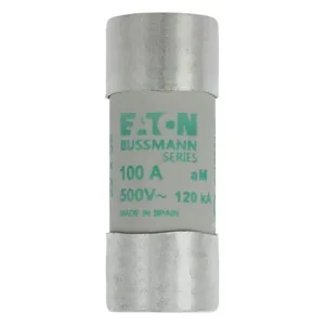 BUSSMANN C22M100 Fuse Link, Slow Blow, 58mm length, 100A, 500VAC, 10 Pack | BD2YDB