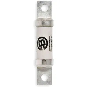 BUSSMANN FWP-100B High Speed Fuse, 100 A, 250 VAC/DC | AE8QVE 6F425