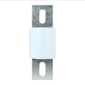 BUSSMANN FWP-450A Specialty Cartridge Fuse, High Speed, Fast Blow, 700VAC/700VDC, 450A | BC8VJR