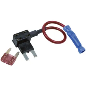 BUYERS PRODUCTS 5601000 Atm Mini Fuseholder Tapa Dual 12v | AA8LBQ 19A777