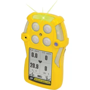 BW TECHNOLOGIES QT-000M-R-Y-CN Single Gas Detector Co Rechargeable China Yellow | AB7JKP 23M839