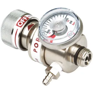 BW TECHNOLOGIES REG-1.0 Gas Regulator 1lpm | AG3CJJ 32UU82