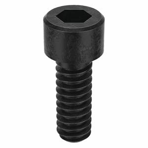 CAMCAR SDSC0040031CP-PK100 Socket Cap Screw Standard, 4-40 X 5/16 Size, 100Pk | AE6JEW 5TAH1