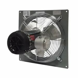 CANARM P16-4M Panel Fan, Direct Drive, 16 Inch Size Blade, 1/3 hp, 2, 580 cfm, 230/460VAC, 3 ph | CQ8EDJ 788N55