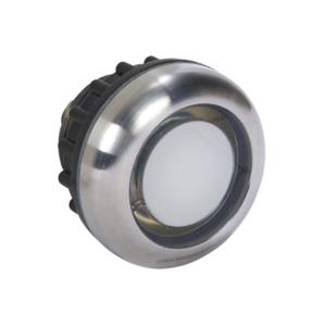 CAPTRON CHT1-158P-30-CPM20 Capacitive Pushbutton Sensor Switch, IP69K, 22mm, Static, Stainless Steel Bezel | CV8AXG