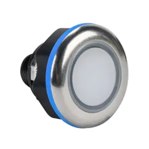 CAPTRON CS10HMSDT-C20-020C Pushbutton Sensor Switch, IP69K, 22mm, Static, Stainless Steel Bezel, Manual LED Control | CV8AZU