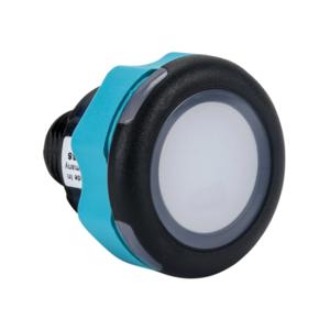 CAPTRON CS10KMLDT-C20-00BD Pushbutton Sensor Switch, IP69K, 22mm, Static, Polycarbonate Bezel | CV8BAR