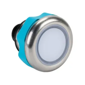 CAPTRON CS10SMTDT-C20-0455 Pushbutton Sensor Switch, IP69K, 22mm, Static, Stainless Steel Bezel | CV8BBP